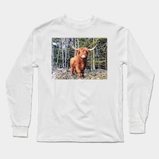 Scottish Highland Cattle Cow 2299 Long Sleeve T-Shirt